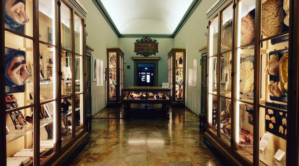 Collezione delle Cere Anatomiche Luigi Cattaneo